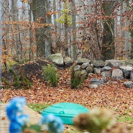 1616-frederiksvaerk-skovbrynet-7 Frederiksværk